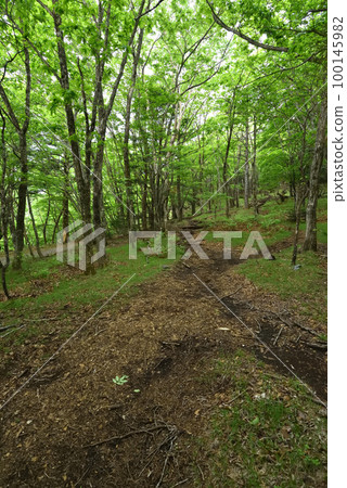 釋迦岳,從八方原Omamadai起點 釋迦岳,從八方原Omamadai起點 100145982