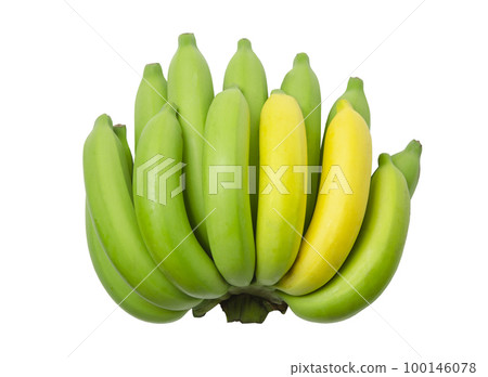 Cavendish banana or bunch banana raw green and yellow isolated on white background. (clipping path) Cavendish banana or bunch banana raw green and yellow isolated on white background. (clipping path) 100146078