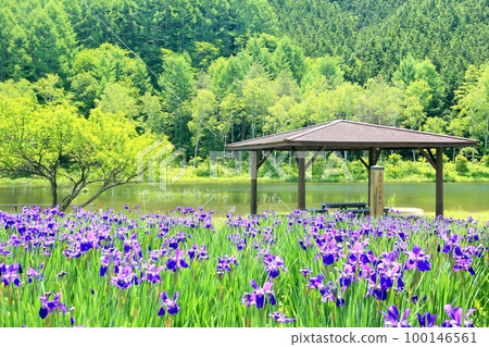 大平綾女公園 大平綾女公園 100146561