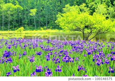 大平綾女公園 100146575