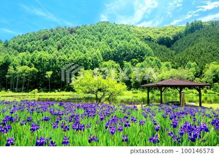 大平綾女公園 大平綾女公園 100146578