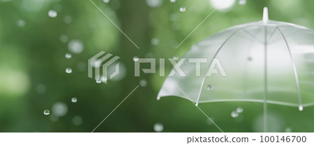 樹和樹葉背景上的透明傘。雨的形象。雨季和雨的圖像。 100146700