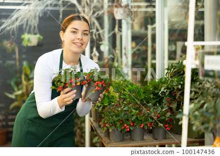 Woman seller holding wintergreen in flower shop 100147436