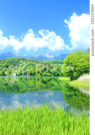 Lake Matsubara in the summer 100147604
