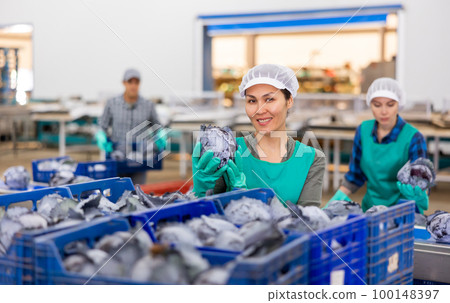 Smiling woman filling crates with red cabbage in vegetable factory 100148397