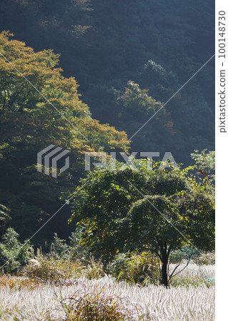 Tottori four seasons walk Akaha River pothole Tottori four seasons walk Akaha River pothole 100148730