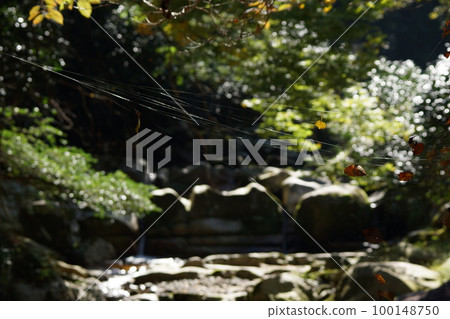 Tottori four seasons walk Akaha River pothole Tottori four seasons walk Akaha River pothole 100148750