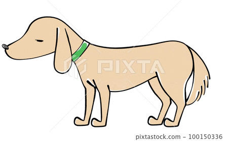 Illustration of a sick dog Illustration of a sick dog 100150336