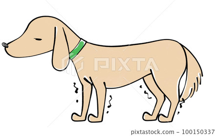 Illustration of a dog with trembling legs Illustration of a dog with trembling legs 100150337