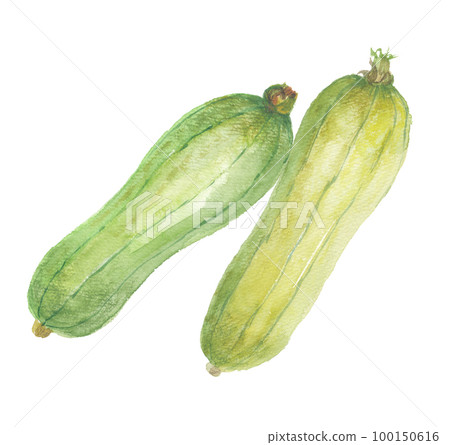 Nabera Loofah Nabera Loofah 100150616