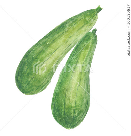 Nabera Loofah 100150617