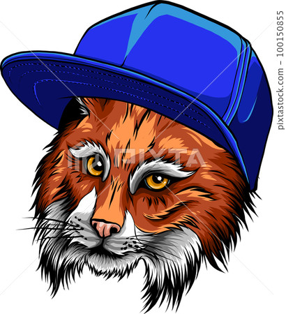 cat portrait in hip-hop hat. Vector illustration. cat portrait in hip-hop hat. Vector illustration. 100150855