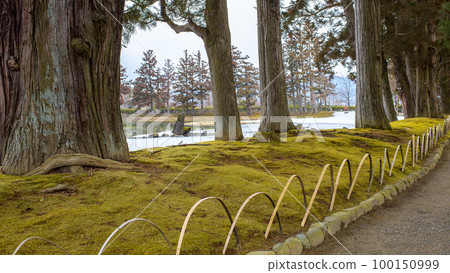 Motsuji Pure Land Garden, overlooking Oizumi Pond, Iwate Prefecture 100150999