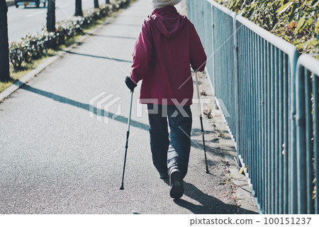Rear view of a senior woman walking with a walking pole 100151237