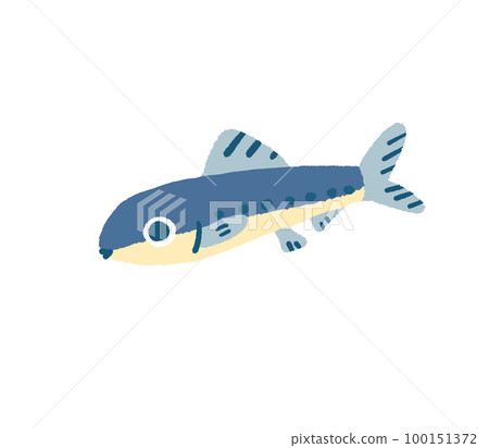 Illustration of a cute sardine 100151372