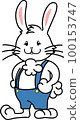 rabbit boy 100153747