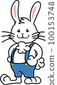 rabbit boy standing 100153748
