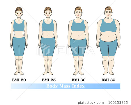 Change in body shape by BMI index of young women Body mass index illustration vector 100153825