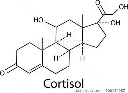 Cortisol hormone icon on white background. Stress hormone symbol. cortisol chemical formula sign. flat style. Cortisol hormone icon on white background. Stress hormone symbol. cortisol chemical formula sign. flat style. 100154087