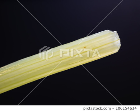 Close-up of peeled boiled butterbur. Wild vegetables in season in spring. 100154634