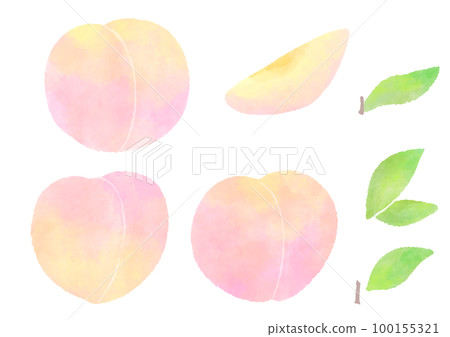Ripe peach fruit and cut fruit cute hand drawn watercolor illustration set Ripe peach fruit and cut fruit cute hand drawn watercolor illustration set 100155321