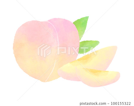 Ripe peach fruit and cut fruit cute hand drawn watercolor illustration Ripe peach fruit and cut fruit cute hand drawn watercolor illustration 100155322