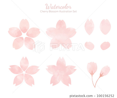 Hand drawn watercolor style cherry blossom illustration set 100156252