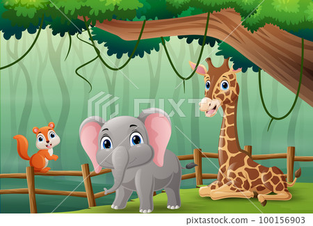 Cartoon wild animal in the jungle Cartoon wild animal in the jungle 100156903