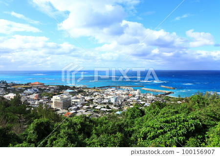 Kunigami Village Blue sea and cityscape 100156907
