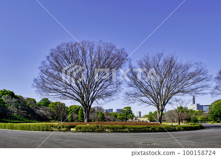 Imperial Palace East Gardens Ruins of Edo Castle Imperial Palace East Gardens Ruins of Edo Castle 100158724