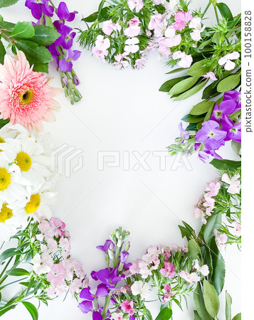 dianthus, gerbera, chamomile, laur. floral a frame dianthus, gerbera, chamomile, laur. floral a frame 100158828