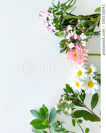 dianthus, gerbera, chamomile, laur. floral a frame dianthus, gerbera, chamomile, laur. floral a frame 100158841