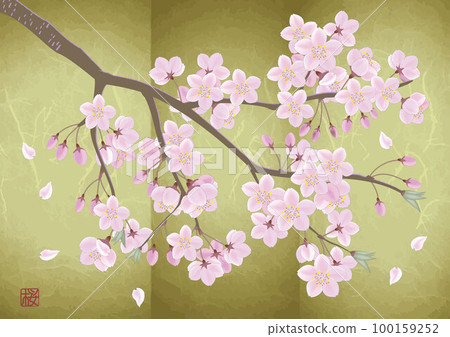 Japanese style cherry blossoms and gold folding screen Japanese style cherry blossoms and gold folding screen 100159252