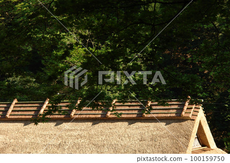 Tottori Four seasons walk Itaihara village 100159750