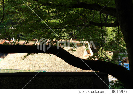 Tottori Four seasons walk Itaihara village 100159751