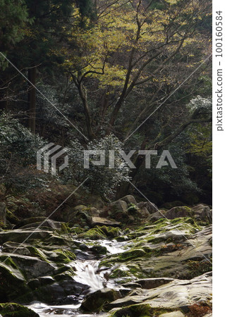 Tottori Four seasons walk Itaihara village 100160584