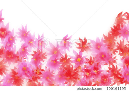Easter cactus flower garden card Easter cactus flower garden card 100161195