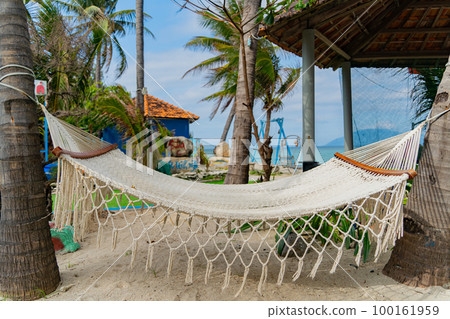 Hammock on the beach. 100161959