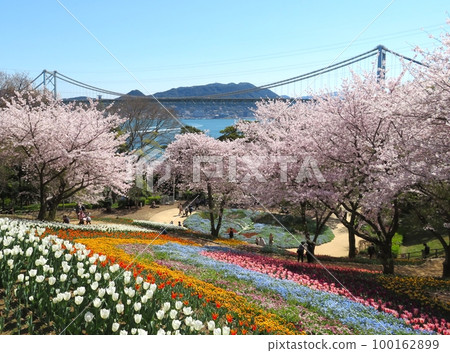火山公園土耳其鬱金香花園 火山公園土耳其鬱金香花園 100162899