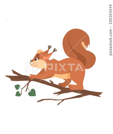 Cute small squirrel jumping on tree branch vector 100163034
