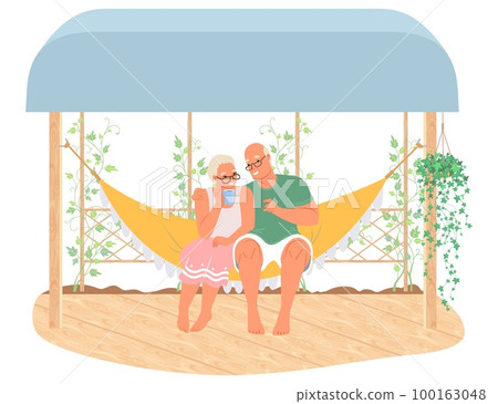 Elderly couple in hammock on backyard vector 100163048
