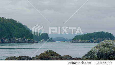 Sea, islands, mountains and forests. Places where sea lions live and rest. 100163277