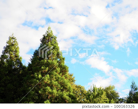 清新的風景 藍天白雲 清新的風景 藍天白雲 100163326