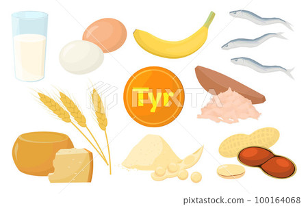 含有酪氨酸的食物的矢量圖解。 100164068