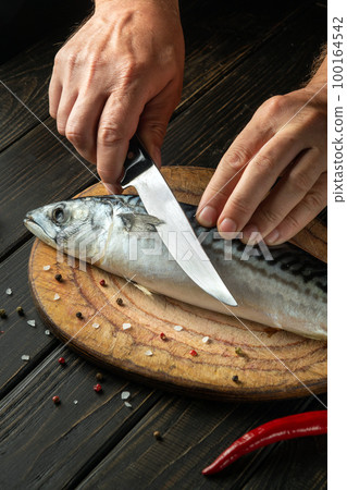The chef cuts a Scomber fish with a knife on a kitchen cutting board. Menu or recipe for restaurant or hotel. Cook hands close up 100164542