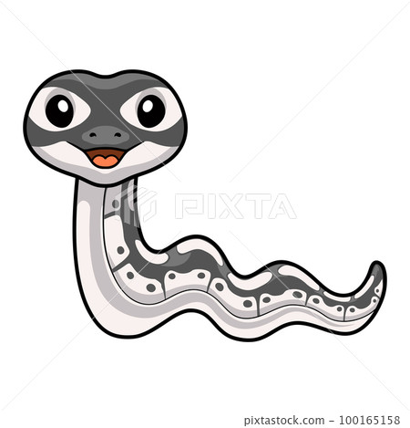 Cute axanthic ball python cartoon Cute axanthic ball python cartoon 100165158