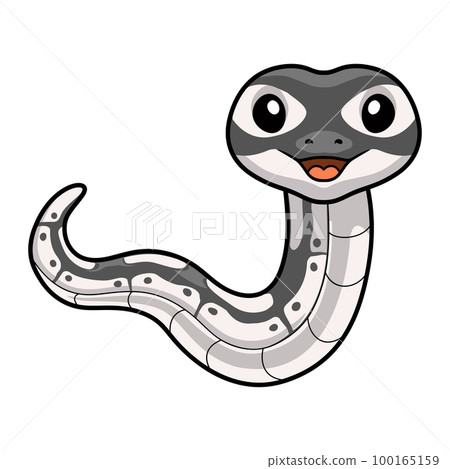 Cute axanthic ball python cartoon Cute axanthic ball python cartoon 100165159