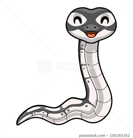 Cute axanthic ball python cartoon Cute axanthic ball python cartoon 100165162