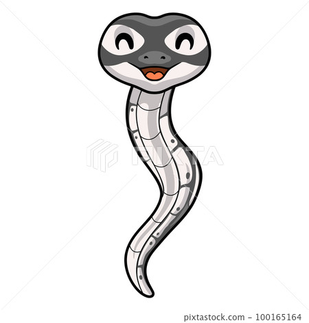 Cute axanthic ball python cartoon Cute axanthic ball python cartoon 100165164