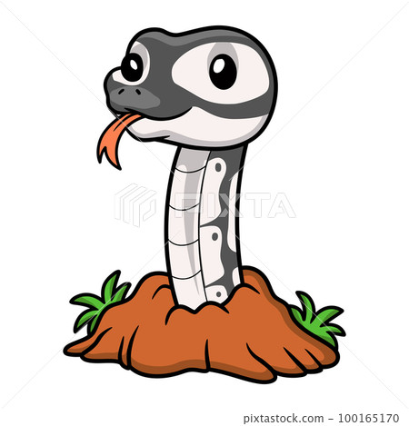 Cute axanthic ball python cartoon out from hole Cute axanthic ball python cartoon out from hole 100165170
